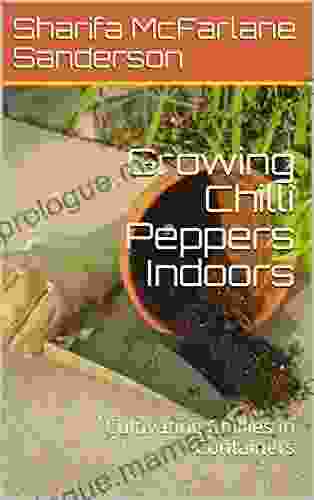 Growing Chilli Peppers Indoors: Cultivating Chillies In Containers