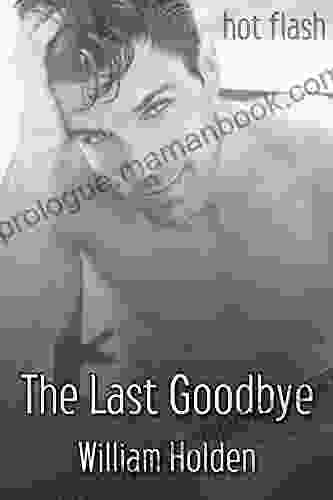 The Last Goodbye (Hot Flash)