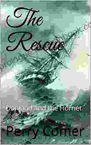 The Rescue: Donland And The Hornet